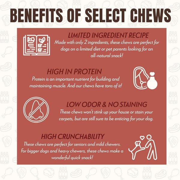 Etta Says! 7" Select Hide-Free Sausage Recipe Crunchy Dog Chews