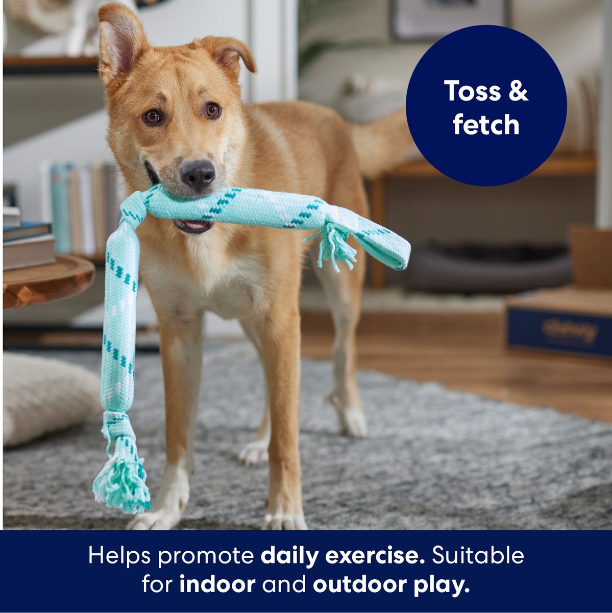 FRISCO Double Fun Rope Crinkle Fetch Dog Toy, Light Blue, Medium/Large