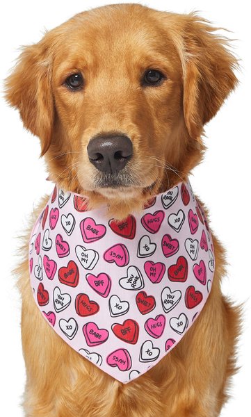 WAGATUDE Heart Valentine Candy Dog Bandana X Small Small Chewy