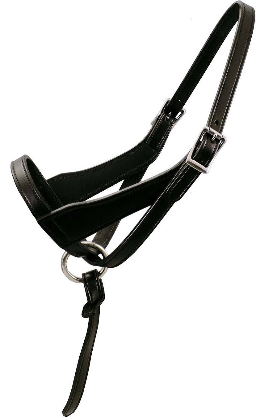 Paris Tack Double Layered Leather Adjustable Horse Foal Halter & Extra Crown