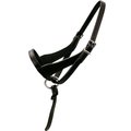 Paris Tack Double Layered Leather Adjustable Horse Foal Halter & Extra Crown, Black