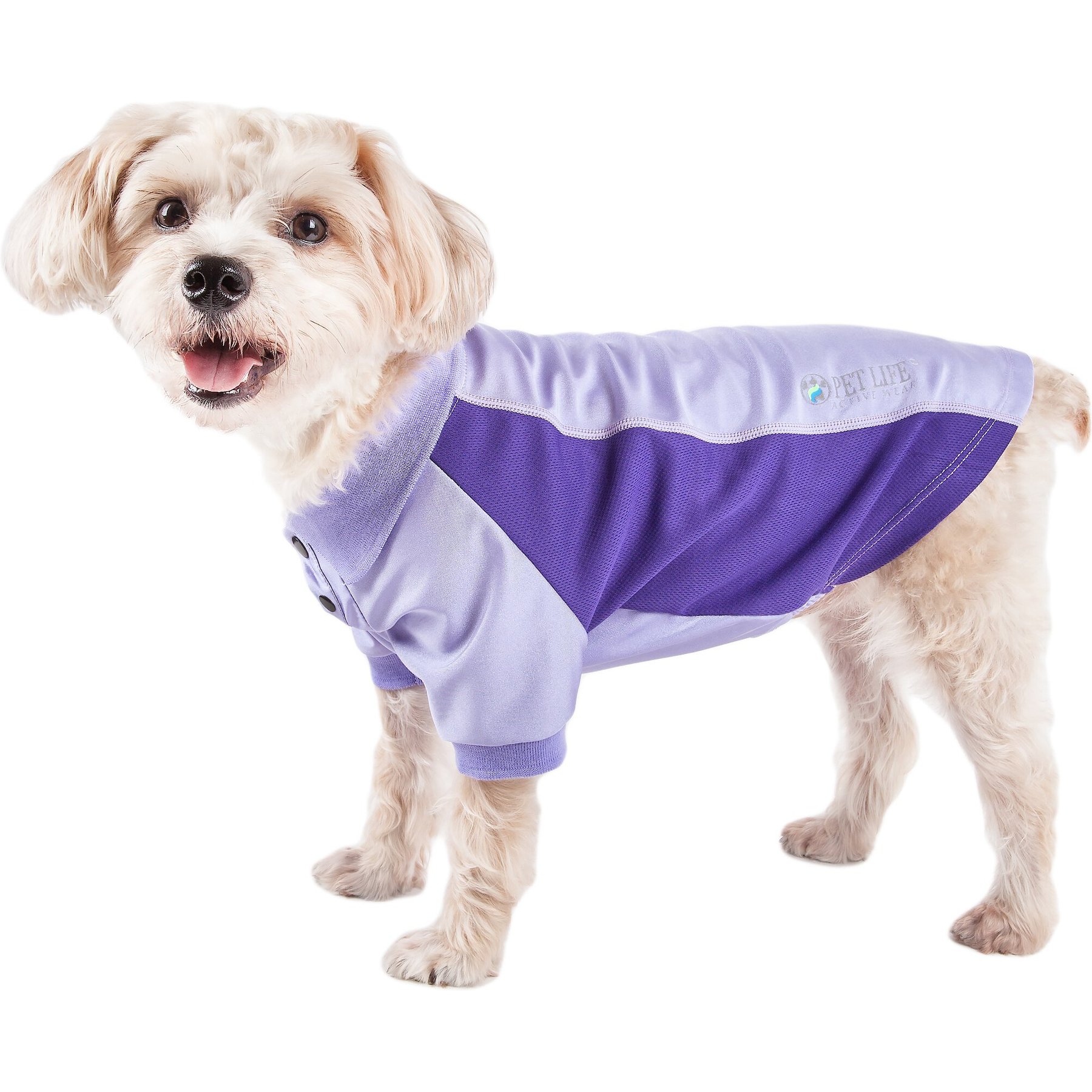 Pet Life Active Barko Pawlo Relax-Stretch Wick-Proof Performance Dog Polo T-Shirt, Lavender, Medium