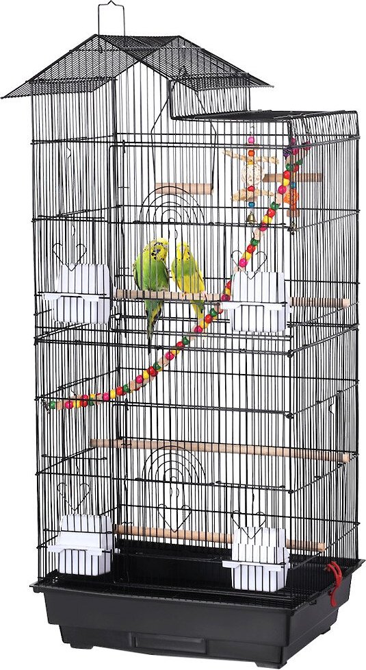 bird cage chewy