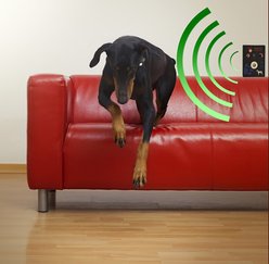 High Tech Pet Products SBR-1 Sound Barrier Extra Receiver slide 2 of 4