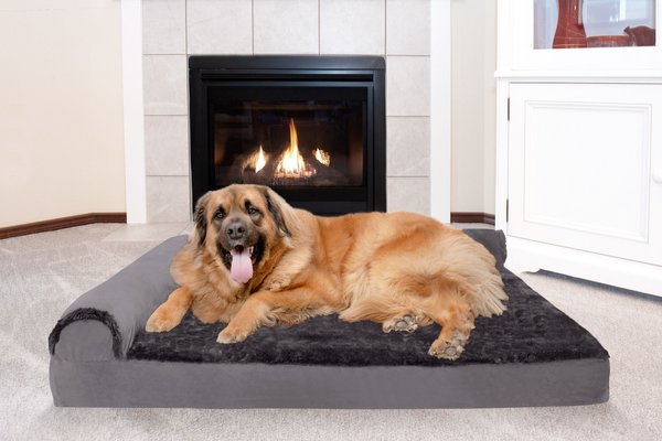 Available in Multiple Colors & Styles Pillow Cushion Traditional Sofa & Deluxe Orthopedic Rectangular Foam Mattress Pet Bed w/ Removable Cover for Dogs & Cats Furhaven Pet Dog Bed 