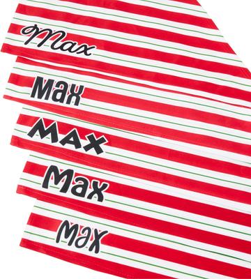 Show full view: Frisco Peppermint Personalized Dog & Cat Bandana, Medium slide 5 of 9