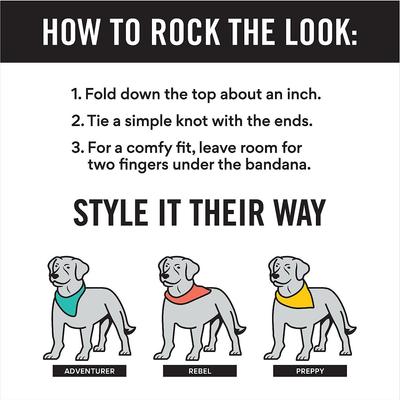 Show full view: Frisco Peppermint Personalized Dog & Cat Bandana, Large slide 3 of 9