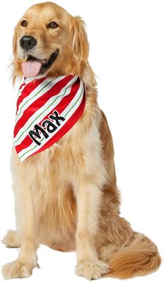 Show full view: Frisco Peppermint Personalized Dog & Cat Bandana, Large slide 7 of 9