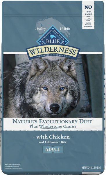 Blue Buffalo Wilderness Nature's Evolutionary Diet Plus Wholesome Grains Chicken, Oats & Barley Adult Dry Dog Food, 24-lb bag slide 1 of 9