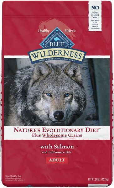 Blue Buffalo Wilderness Nature's Evolutionary Diet Plus Wholesome Grains Salmon, Oats & Barley Adult Dry Dog Food, 24-lb bag slide 1 of 9