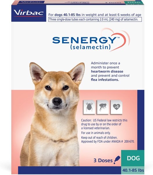 Senergy Topical Solution for Dogs, 40.1-85 lbs, (Teal Box), 3 Doses (3-mos. supply) slide 1 of 4