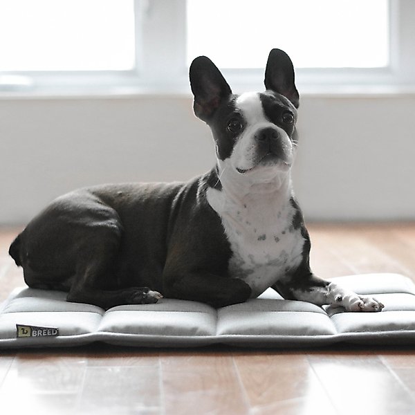 BeOneBreed Upturn Mat Dark Gray Memory Foam Dog Crate Mat BeOneBreed Upturn Mat Dark Gray Memory Foam Dog Crate Mat
