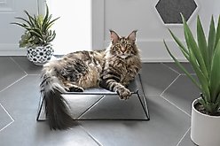 BeOneBreed Metal Hammock Elevated Cat Bed