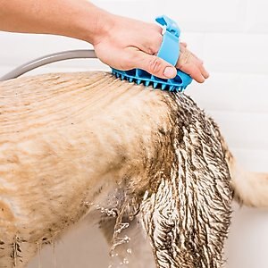 Aquapaw Pro Dog Grooming Tool, Blue