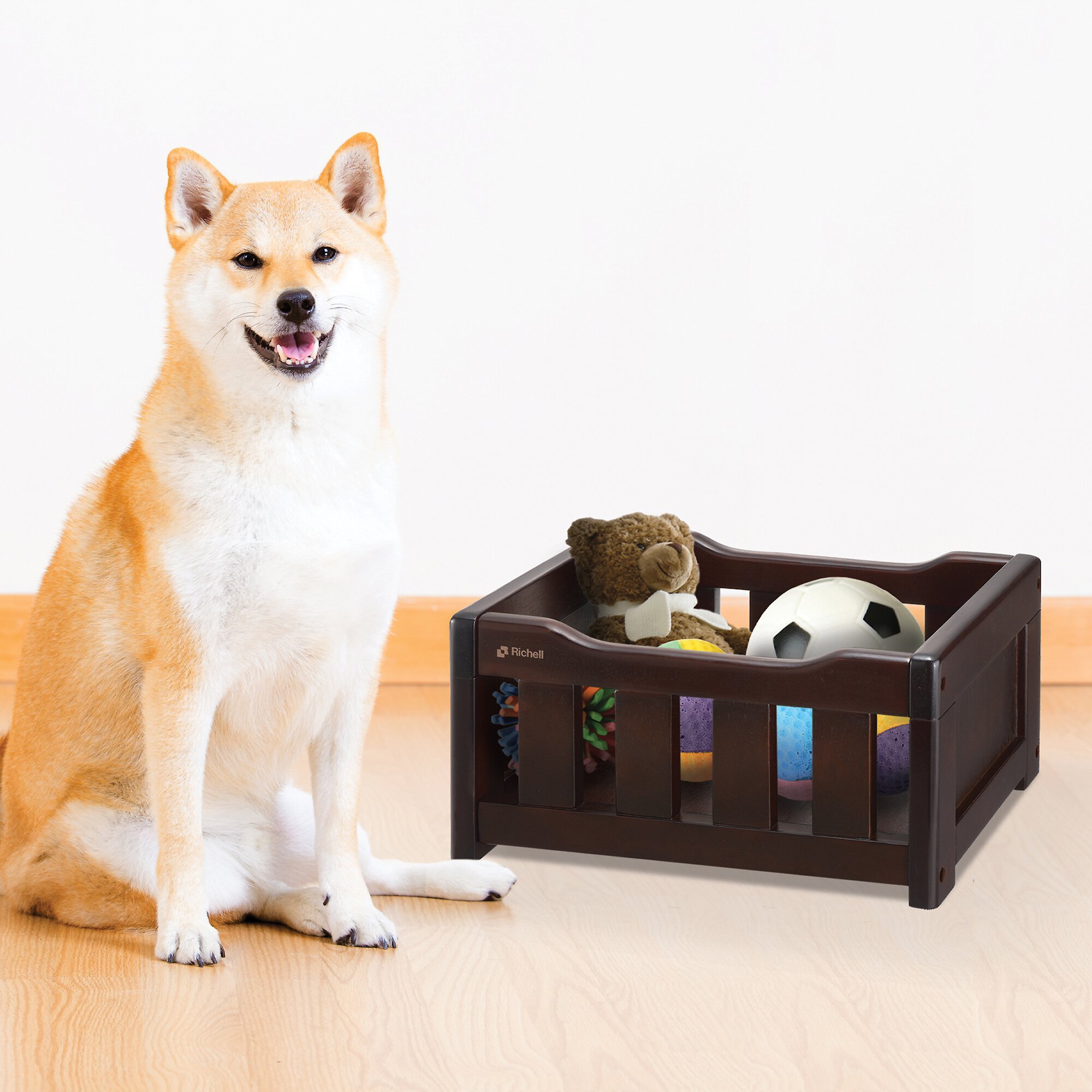 Chewy fashion dog toy box