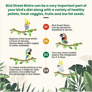 Bird Street Bistro AppleBerry Feast on the Fly Bird Food, 11-oz bag