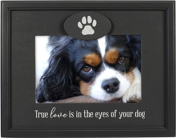 Malden International Designs "Love Is In The Eyes Of Your Dog" Picture Frame, 4 x 6-in slide 1 of 3