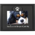 Malden International Designs "Love Is in the Eyes of Your Dog" Picture Frame, 4 x 6-in