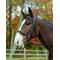 Show in main carousel: Shires Equestrian Products Avingnon Nashville Horse Bridle, Pony slide 1 of 3