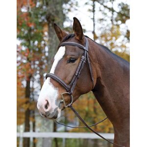 Shires Equestrian Products Avignon Ocala Horse Bridle, Pony