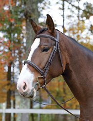 Shires Equestrian Products Avignon Ocala Horse Bridle, Cob