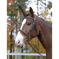 Shires Equestrian Products Avignon Ocala Horse Bridle, Full