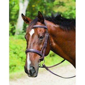 Shires Equestrian Products Avignon Wellington Horse Bridle, Full