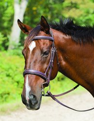 Shires Equestrian Products Avignon Wellington Horse Bridle, Ex-Full