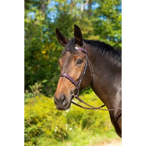 Shires Equestrian Products Avignon Middleburg Horse Bridle, Full