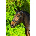 Shires Equestrian Products Avignon Aspen Horse Bridle, Full