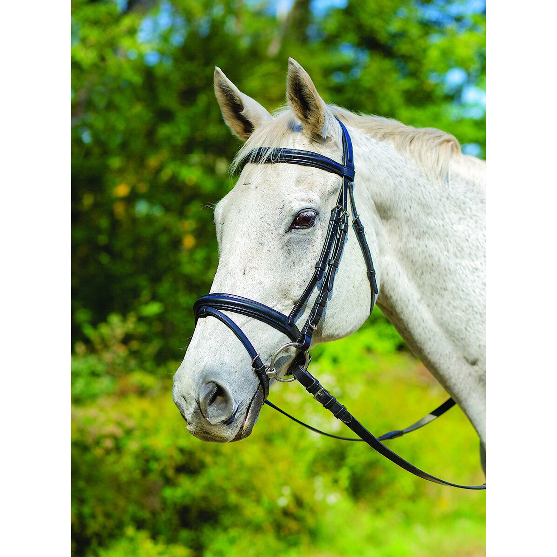 Shires Equestrian Products Avignon Louisville Horse Bridle, Black, Cob