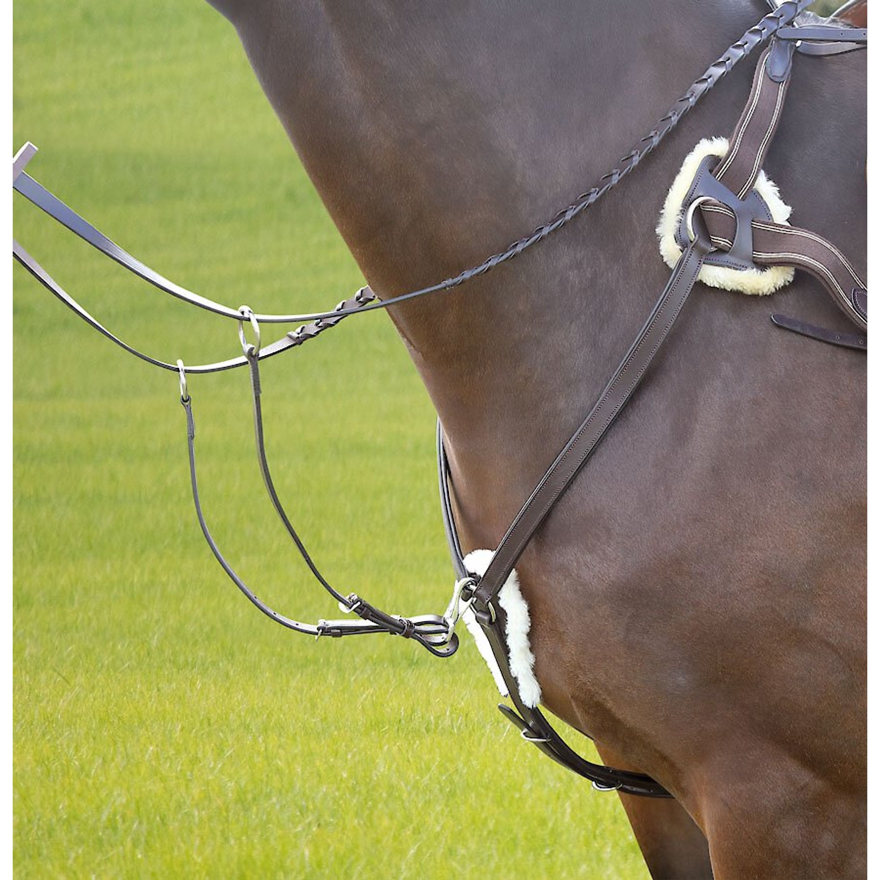 Shires Equestrian Products Five Point Horse Breastplate, Black, Full