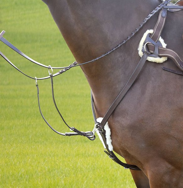 Show full view: Shires Equestrian Products Five Point Horse Breastplate, Havana, Cob slide 1 of 1