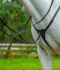 Shires Equestrian Products Three Point Horse Breastplate, Havana, Ex-Full