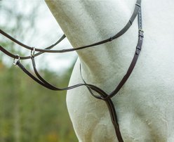 Shires Equestrian Products Running Horse Martingale, Pony