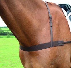 Shires Equestrian Products Elastic Horse Breastgirth, Full/Ex-Full