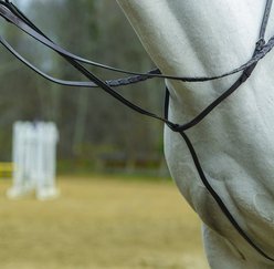 Shires Equestrian Products Standing Horse Martingale, Pony