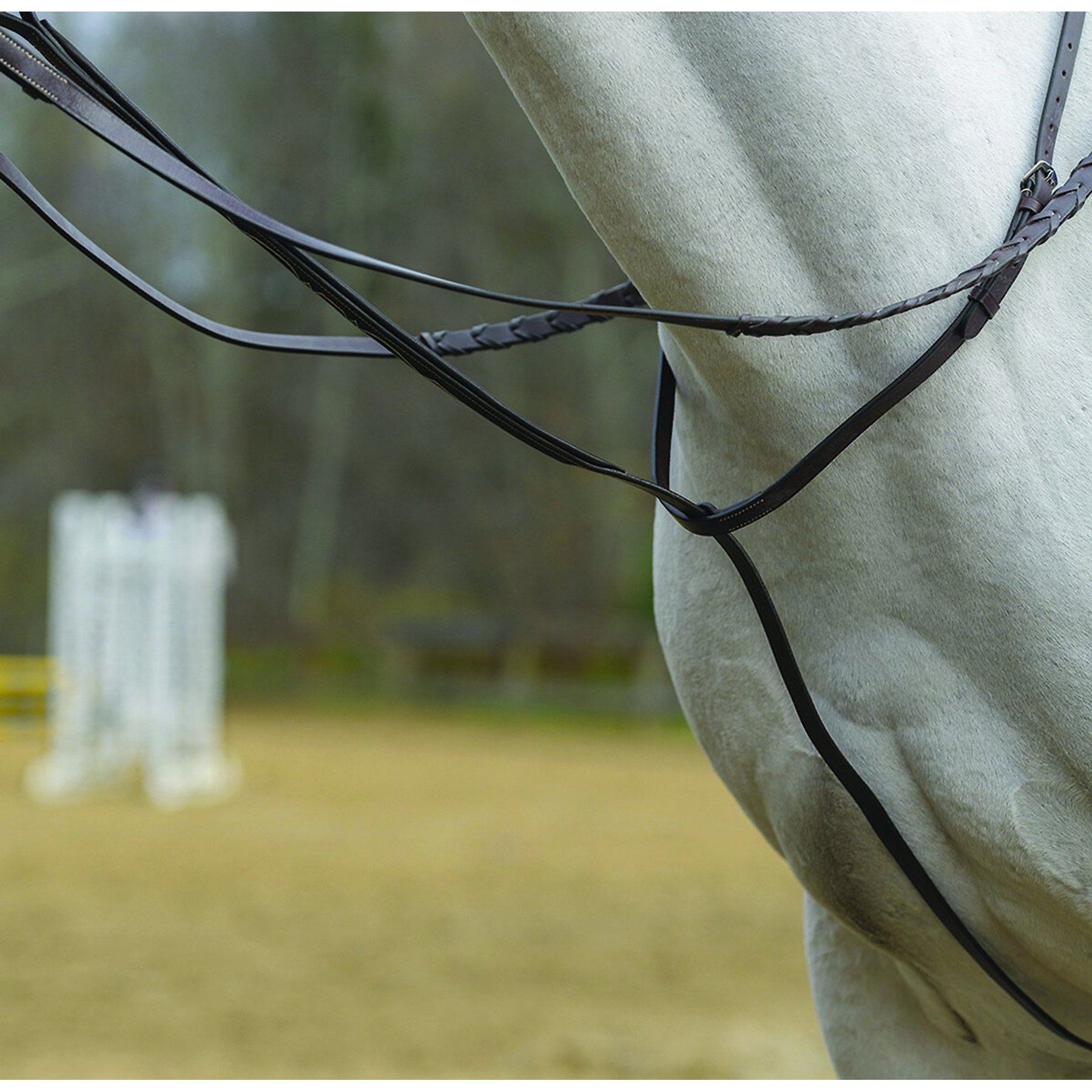 Shires Equestrian Products Standing Horse Martingale, Ex-Full