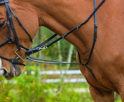 Shires Equestrian Products German Horse Martingale, Havana, Full