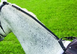 Shires Equestrian Products Leather Daisy Horse Rein, Black