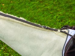 Shires Equestrian Products Leather Daisy Horse Rein, Havana