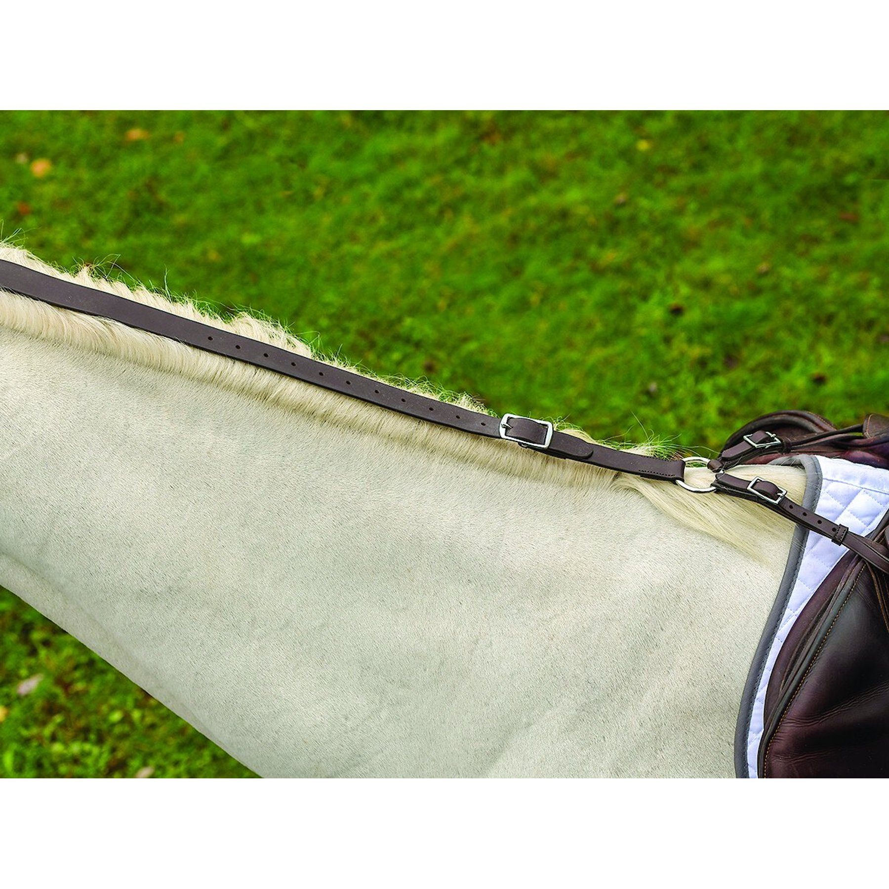 Shires Equestrian Products Leather Daisy Horse Rein, Brown