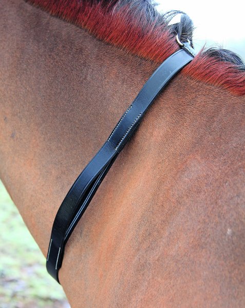Shires Equestrian Products Tapestry Horse Neck Strap, Black, Full slide 1 of 1