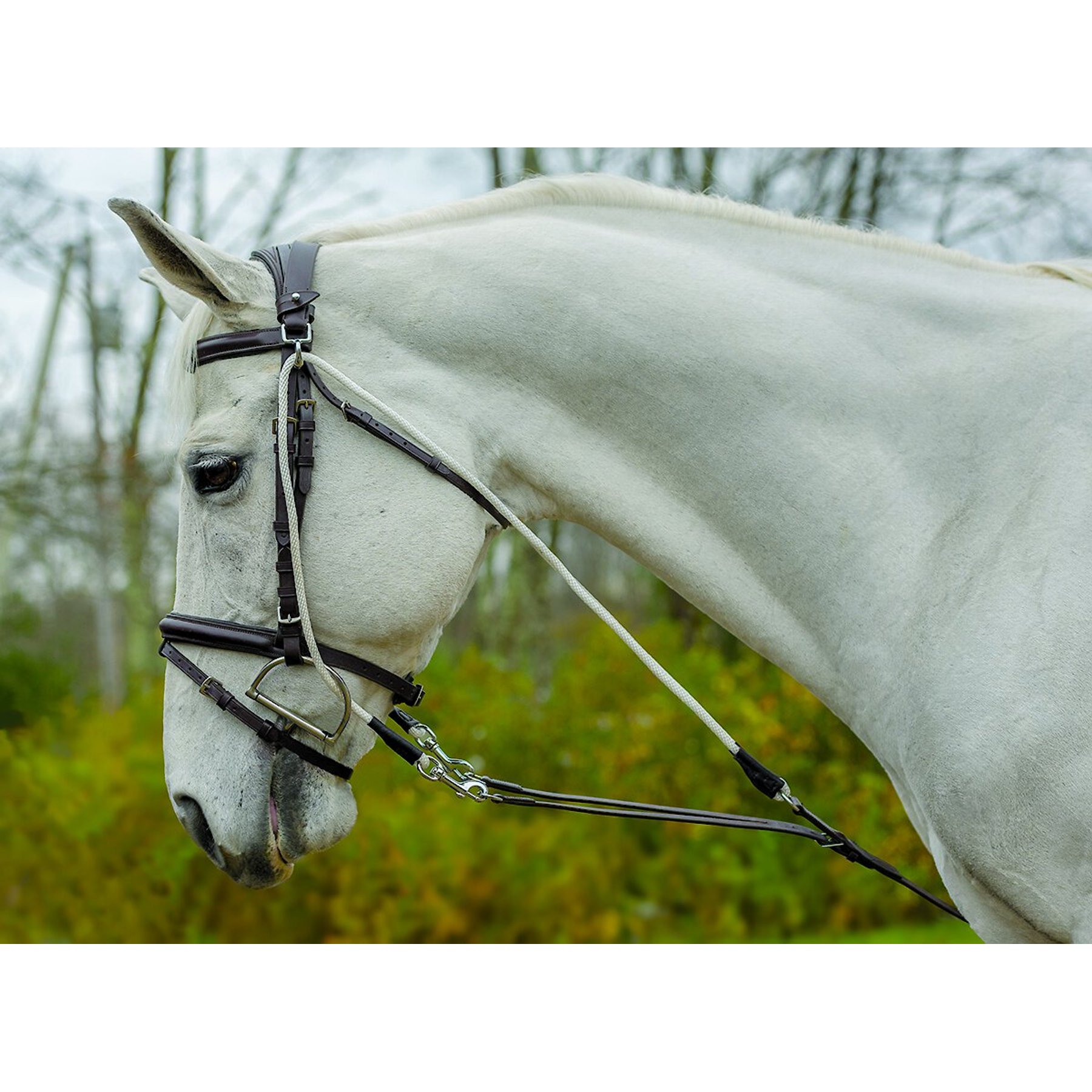 Shires Equestrian Products DeGogue Horse Training Aid, Black, Full