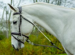 Shires Equestrian Products DeGogue Horse Training Aid, Havana, Full