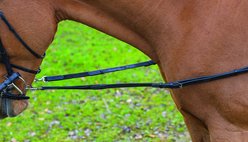 Shires Equestrian Products Leather & Elastic Horse Side Reins, Havana