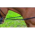 Shires Equestrian Products Leather & Elastic Horse Side Reins, Havana