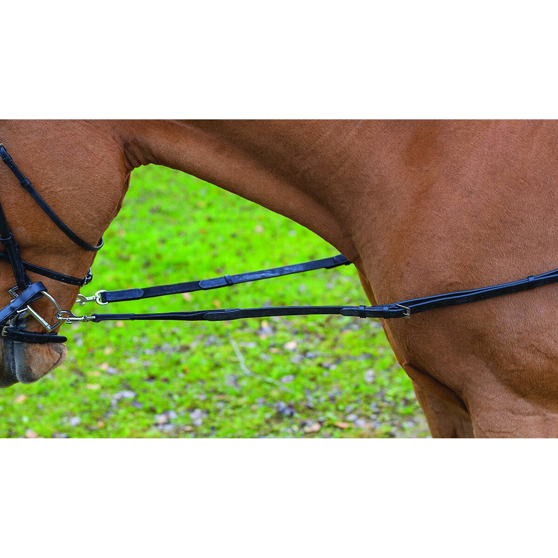Shires Equestrian Products Leather & Elastic Horse Side Reins, Havana