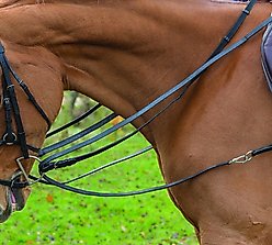 Shires Equestrian Products Leather Draw Horse Reins, Black
