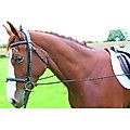 Shires Equestrian Products Elastic Draw Horse Reins